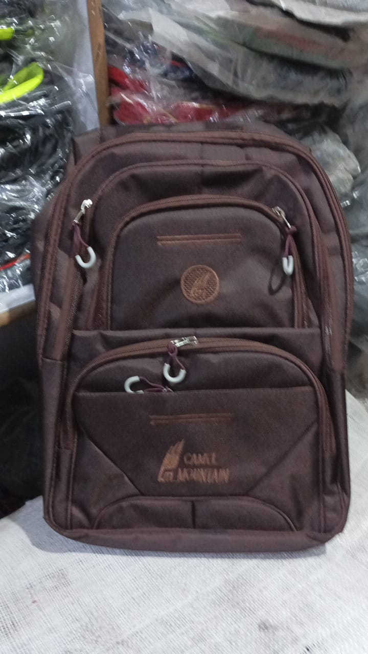 Camel Mountain School Bags