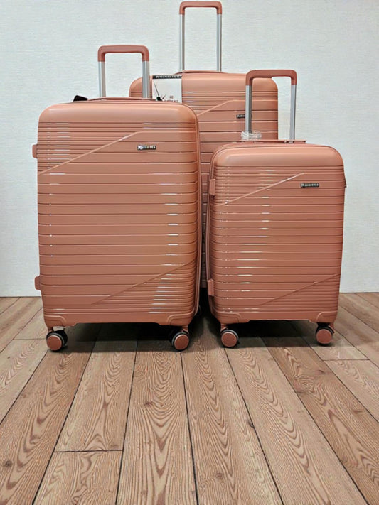 Minister Luggage bags