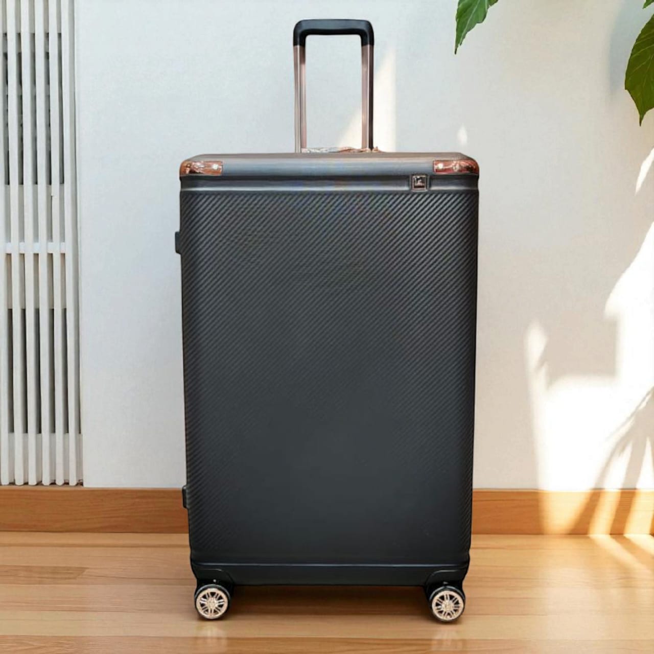 Assoda Luggage Bags