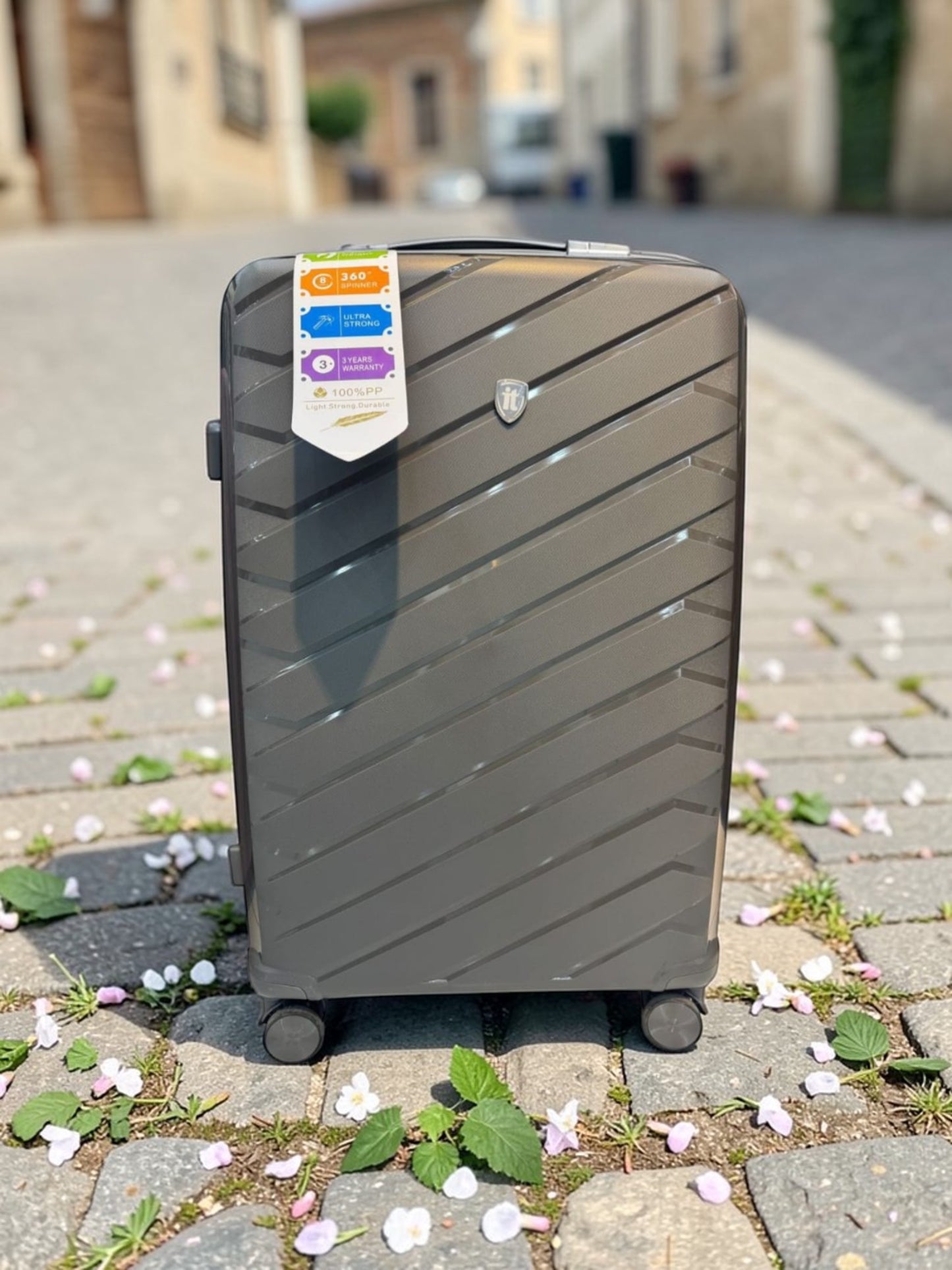 IT Luggage Collection II