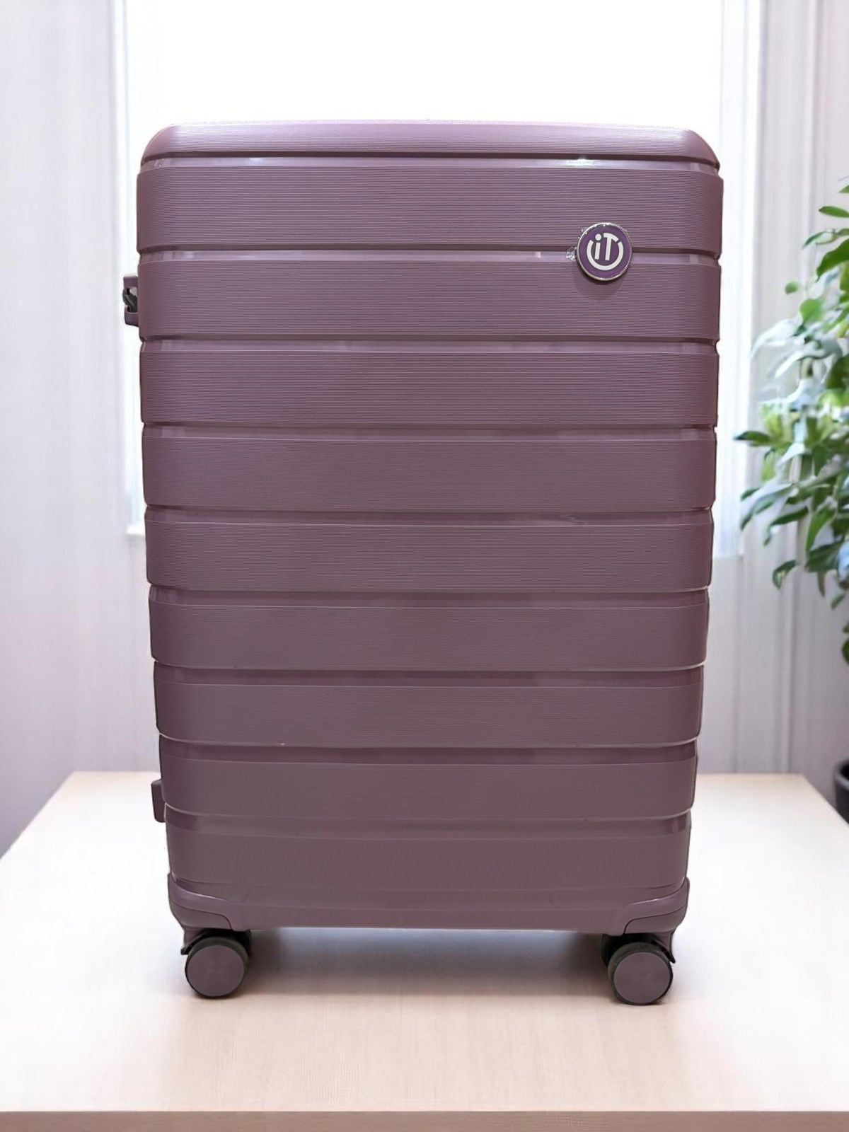 IT Luggage