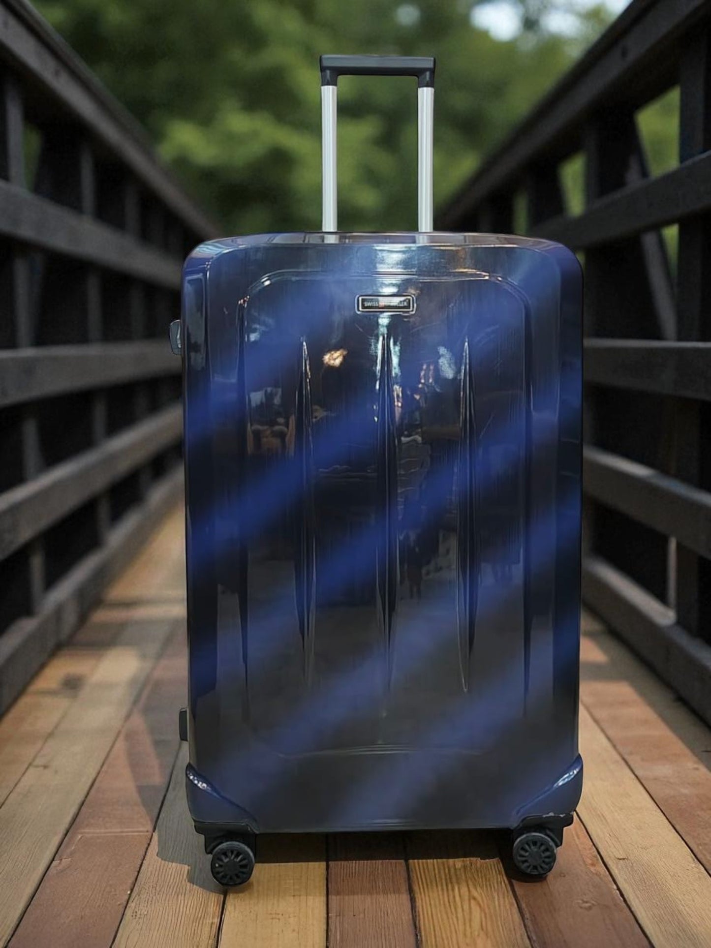 Swiss Traveller PC