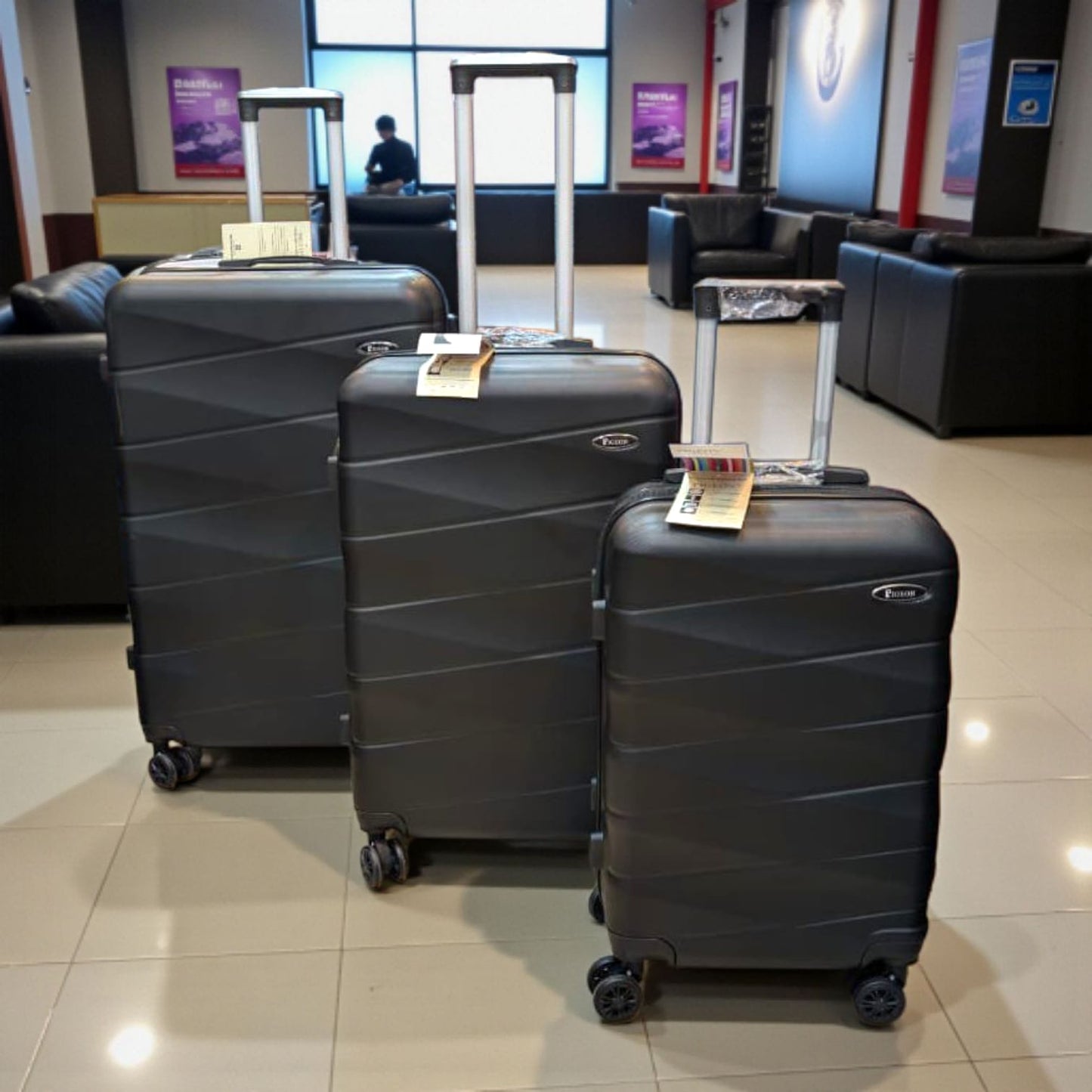 Pigeon Luggage Bags 14 Model