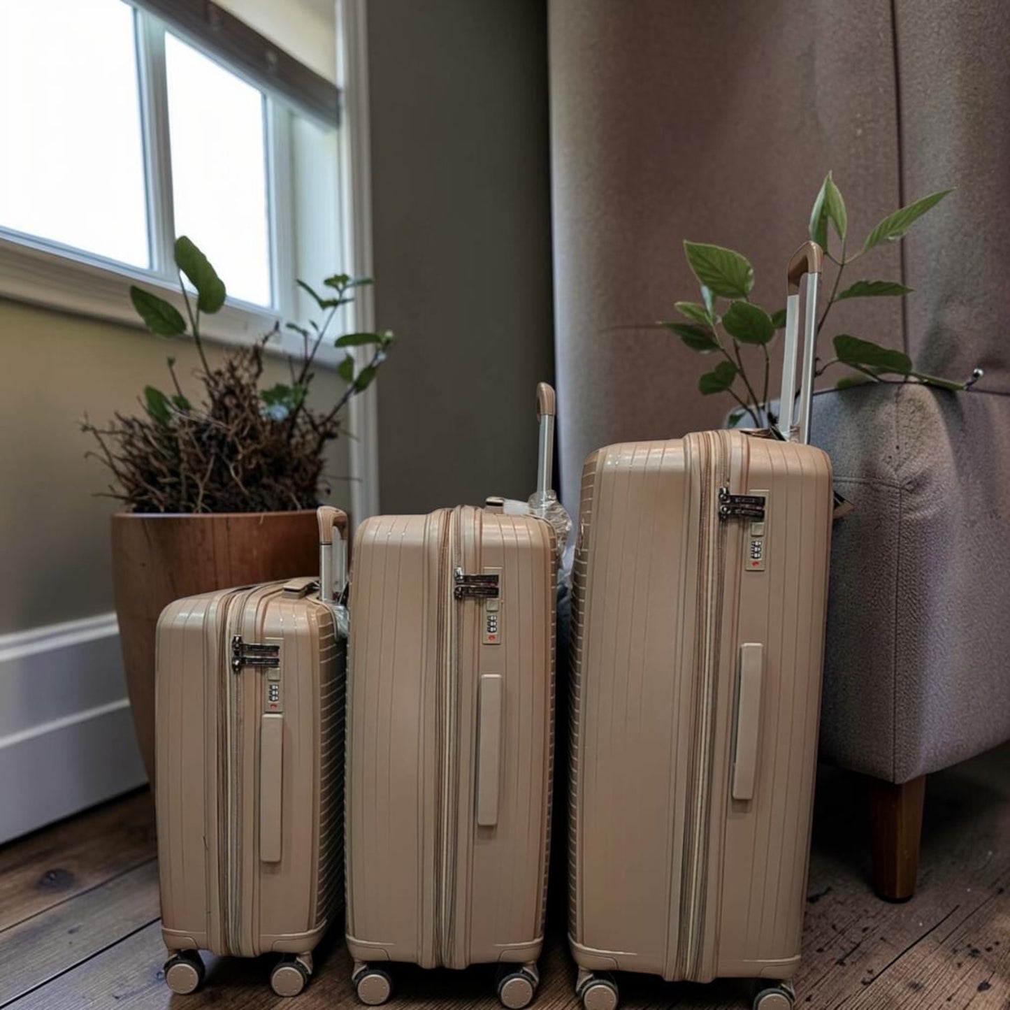 IT Luggage – Collection  *