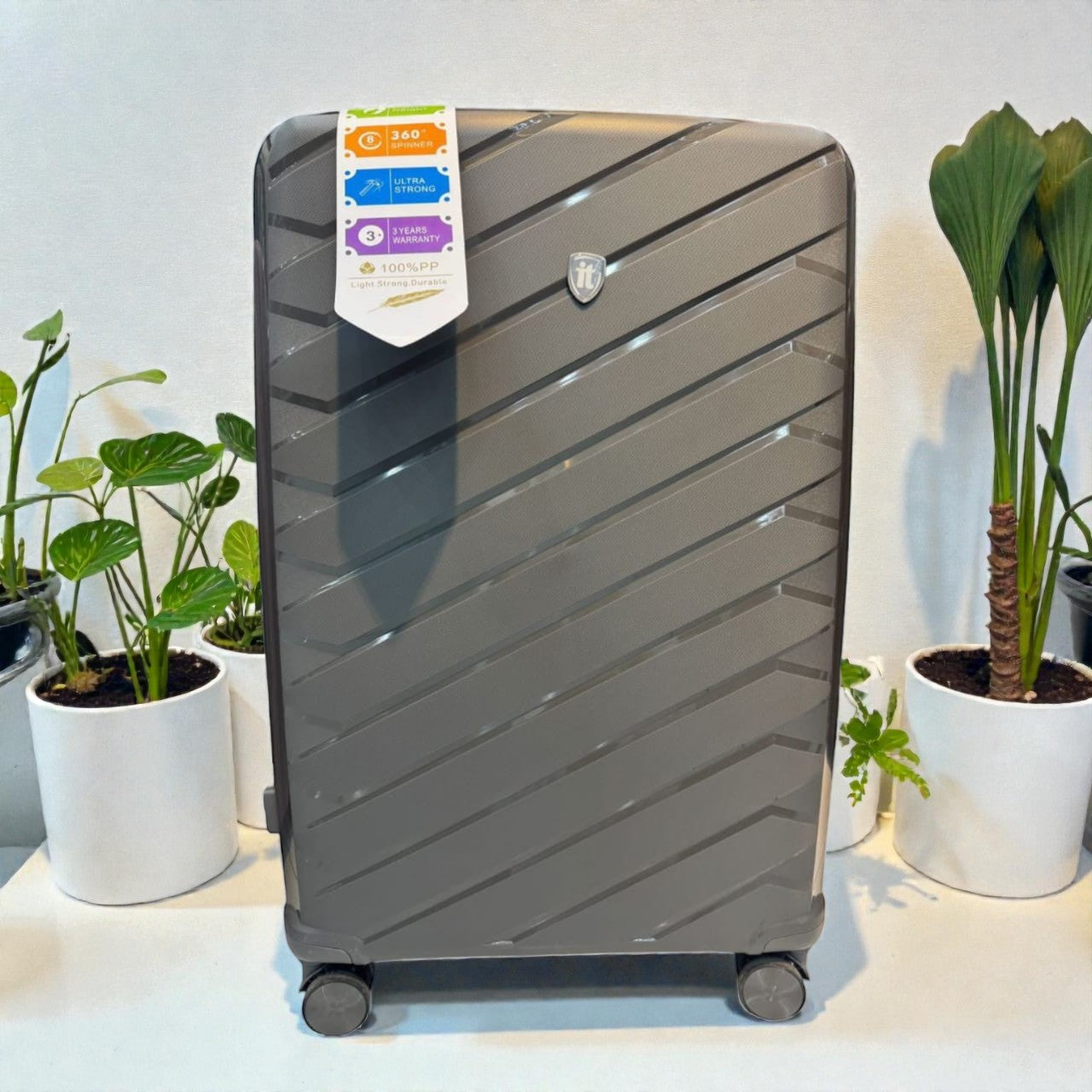 IT Luggage Collection II