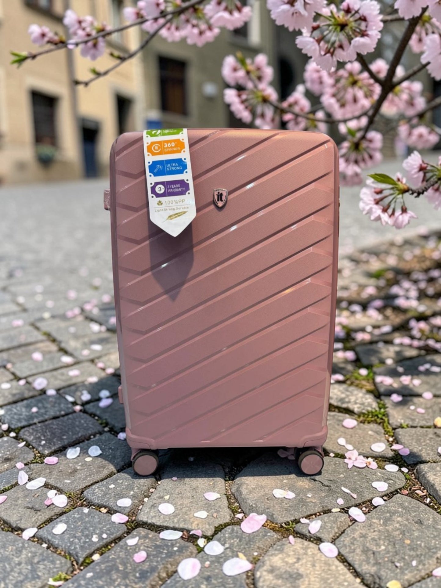 IT Luggage Collection II