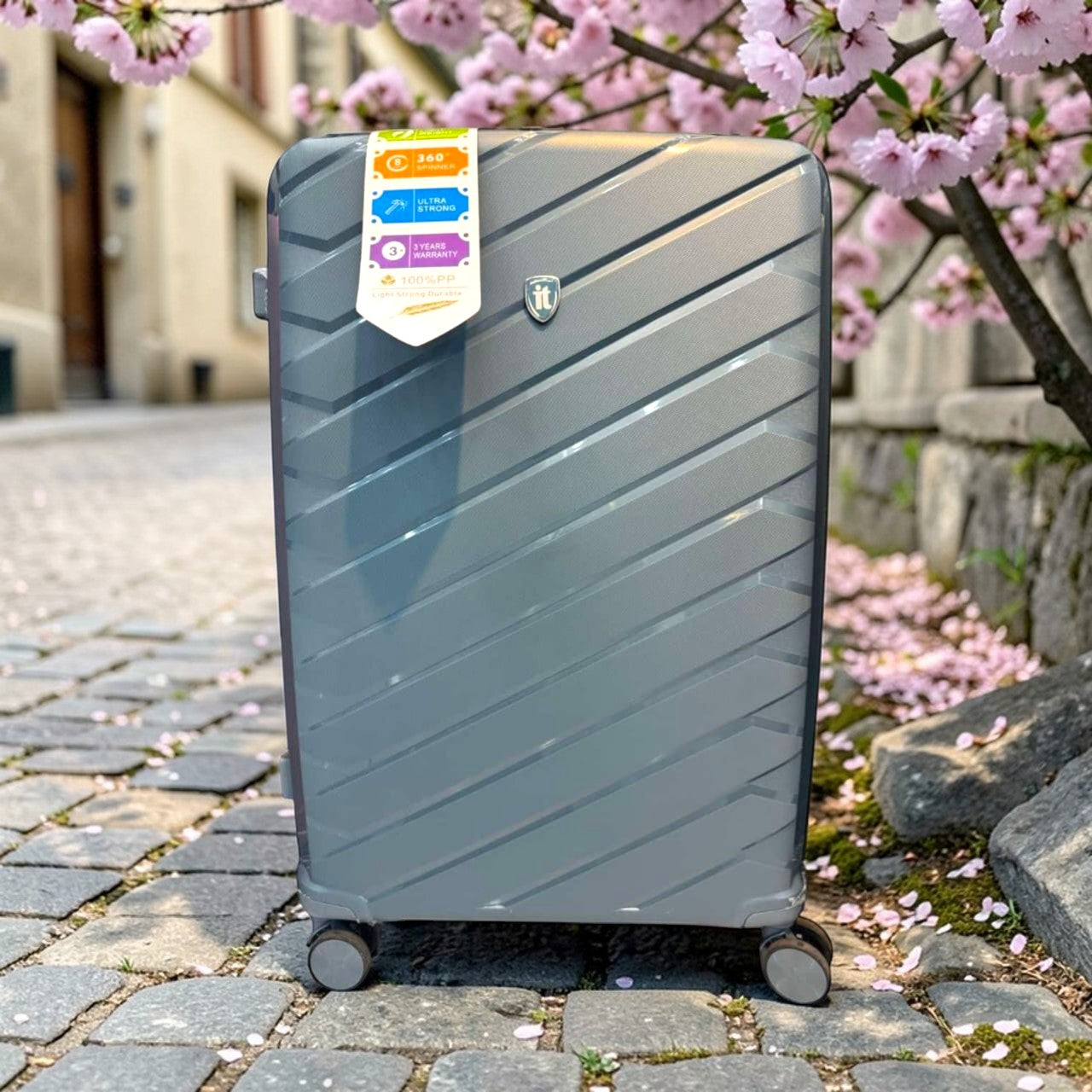 IT Luggage Collection II