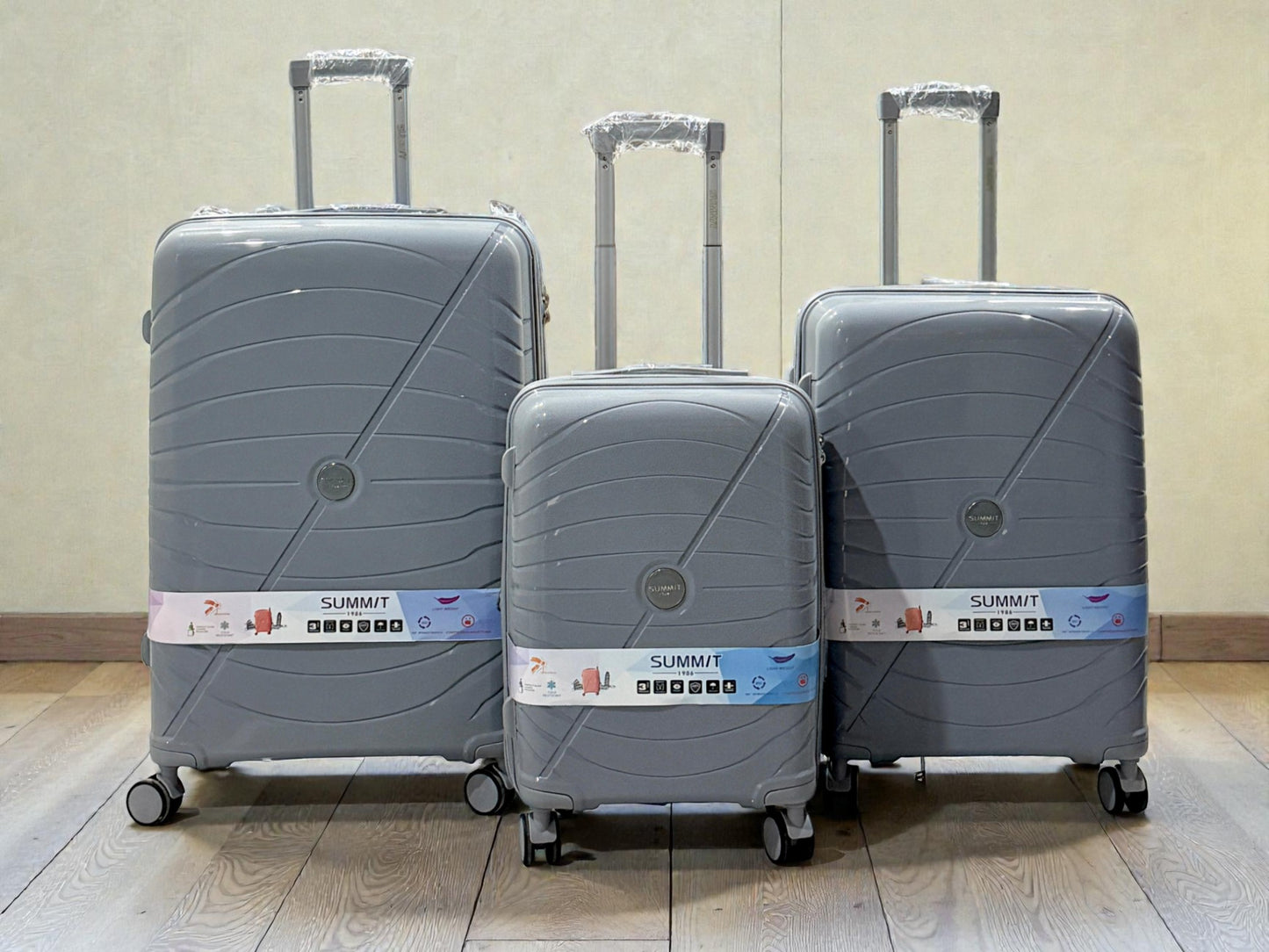 Summit Luggage bags