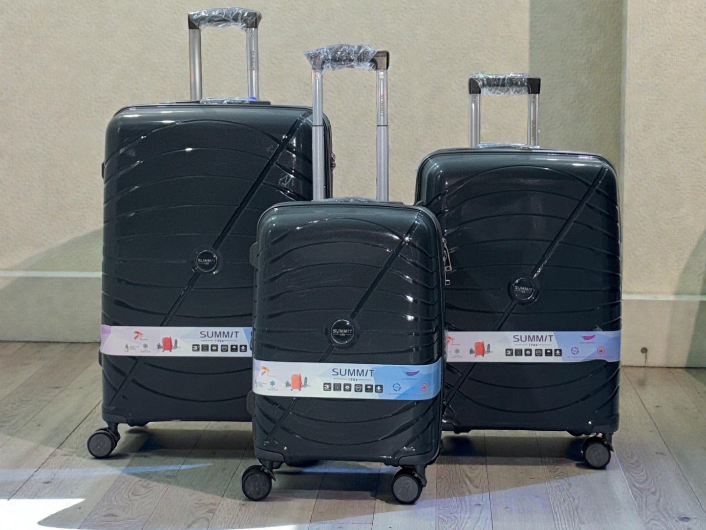 Summit Luggage bags