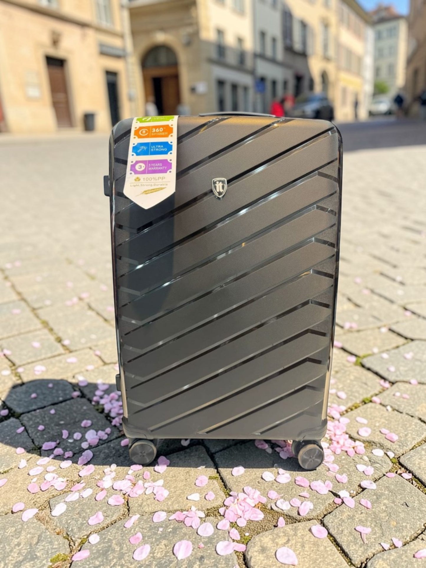 IT Luggage Collection II