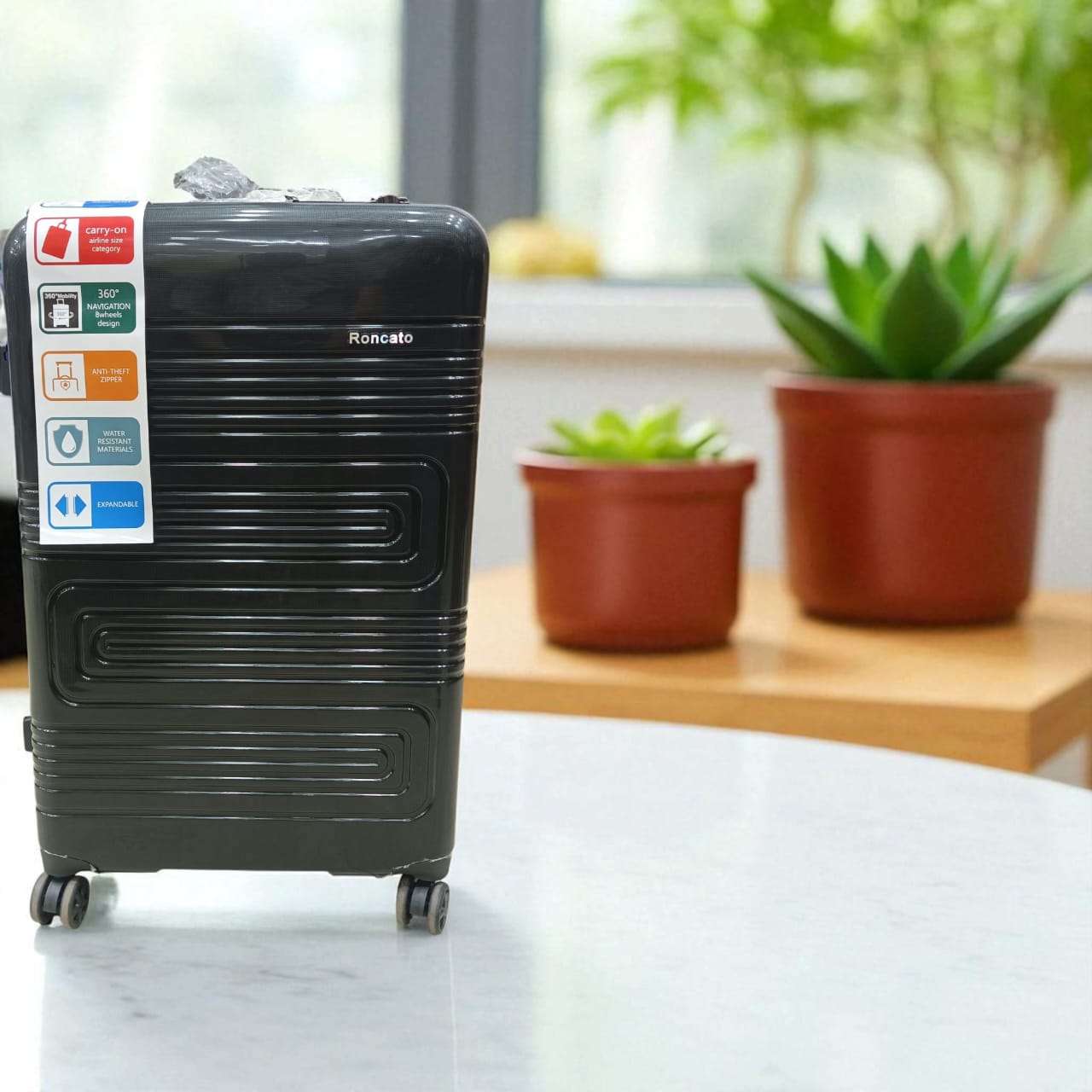 Roncato Luggage bags