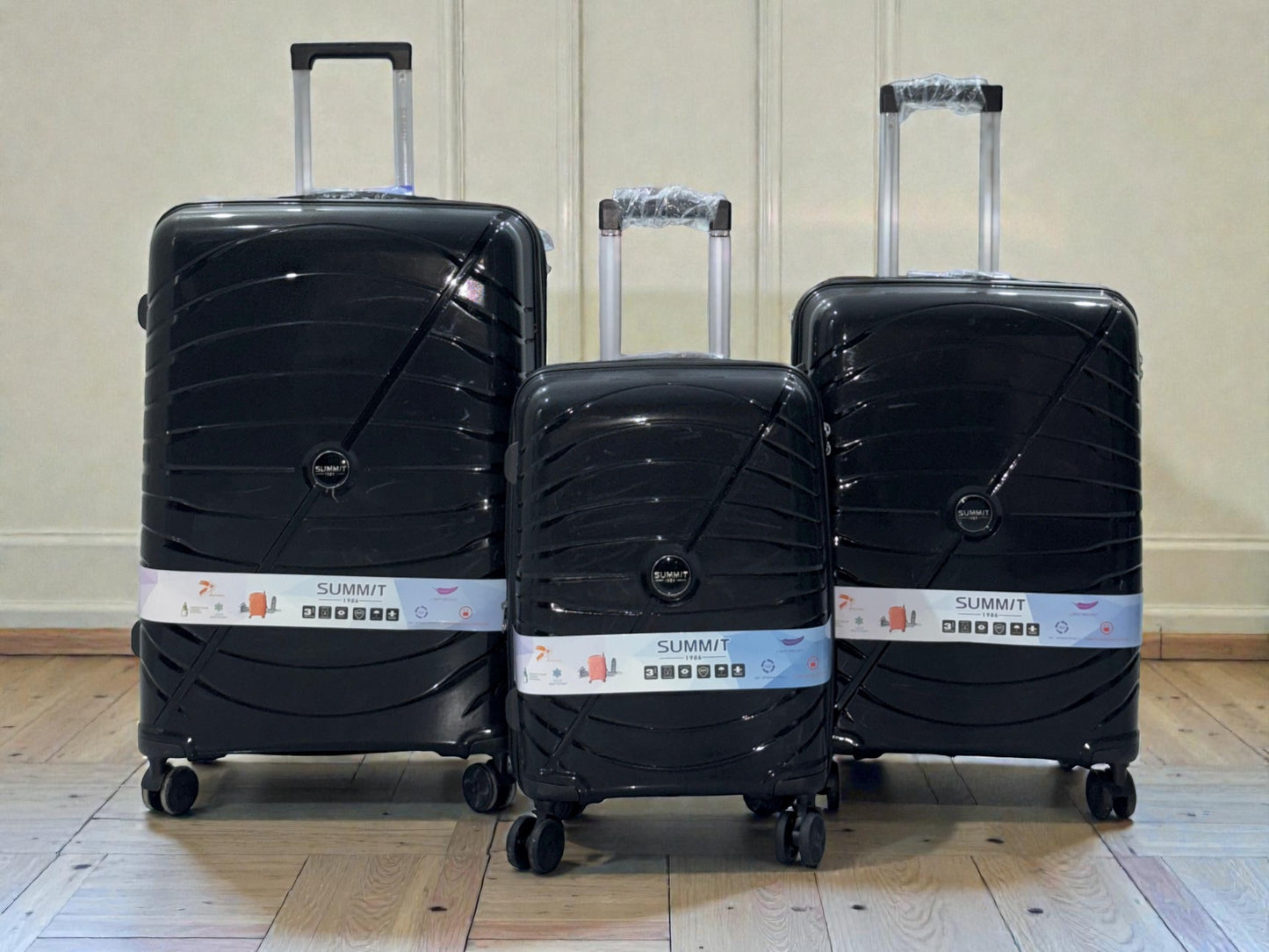 Summit Luggage bags